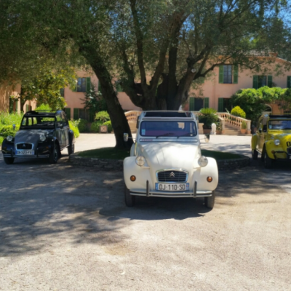 Escale dans un de nos domaines crus classés