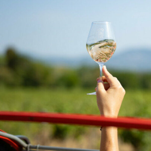 Circuit privé 2CV Saint Tropez - Elia Kuhn Photographe - Beyond The Wine Circuit privé 2CV Saint Tropez - Elia Kuhn Photographe - Beyond The Wine