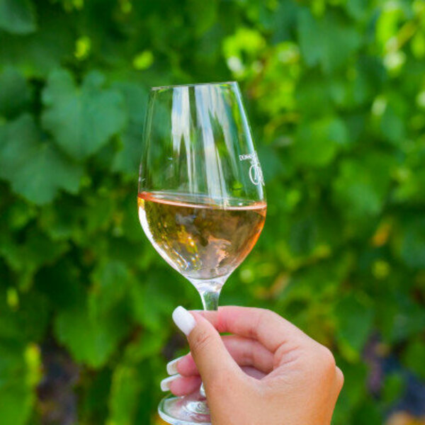 Circuit privé 2CV Saint Tropez - Photo Visit Var Circuit privé 2CV Saint Tropez - Photo Visit Var