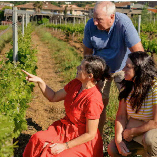 circuit viticole depuis saint tropez