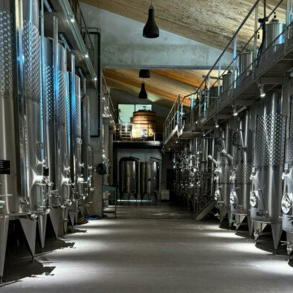 circuit viticole depuis saint tropez