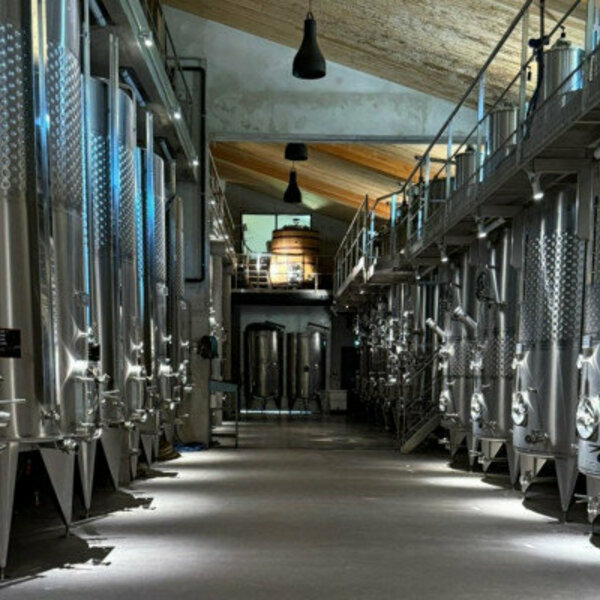 wine tour from Saint Tropez