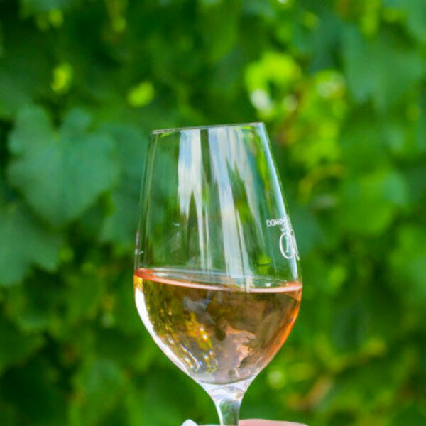 Circuit oenologique privé en minivan - Saint-Tropez - Elia Kuhn Photographe - Beyond The Wine 