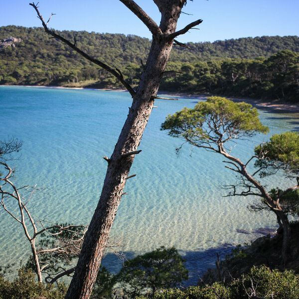 Les activités de Méditerranée Porte des Maures