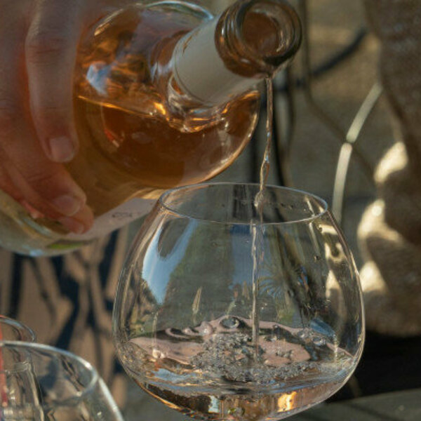 Private wine tasting