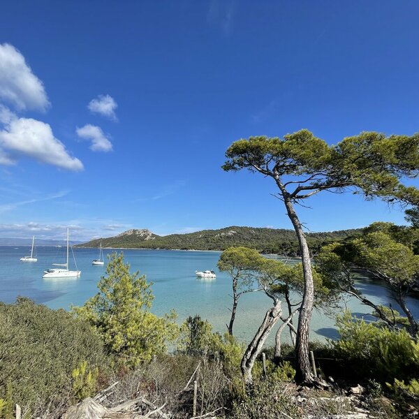 Ile de Porquerolles