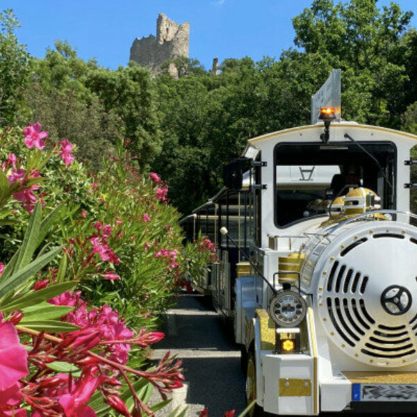 Vous découvrirez de superbes vues sur le château de Grimaud