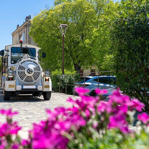 Petit Train de Grimaud