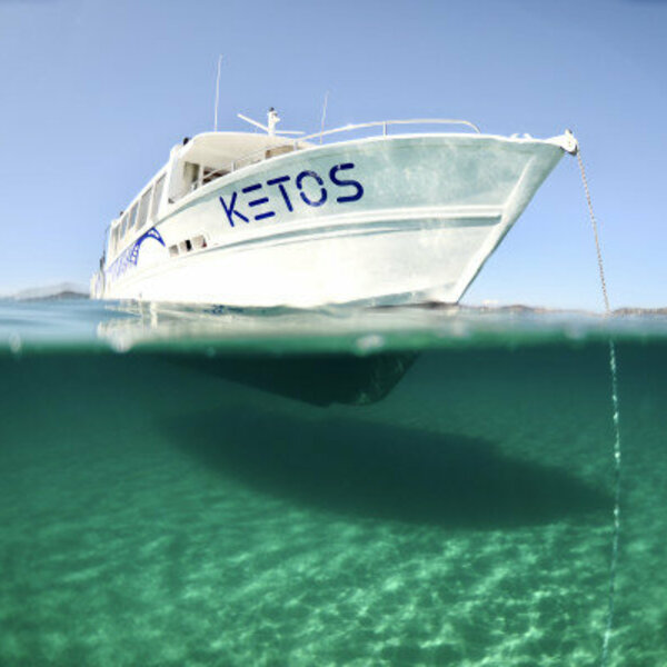 Privatisation du bateau Ketos avec plongée et snorkeling
