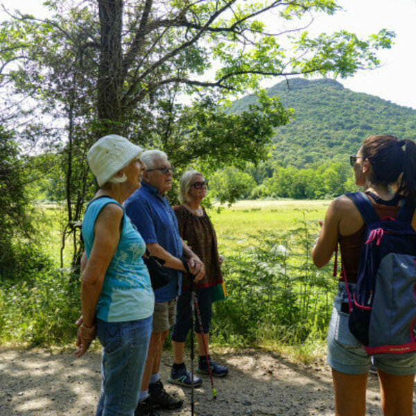 guided walk (3h)