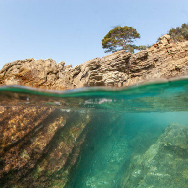 Des paysages terrestre et sous marins à couper le souffle !