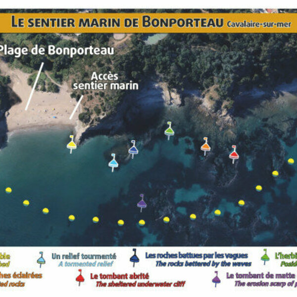 Plan du sentier marin