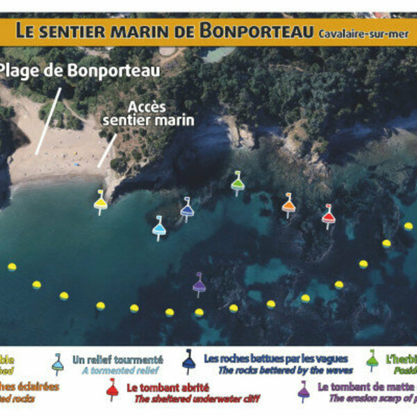 Bonporteau marine path in Cavalaire-sur-mer