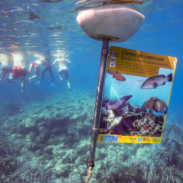 Des bouées et des panneaux immergés pour découvrir les fonds marins