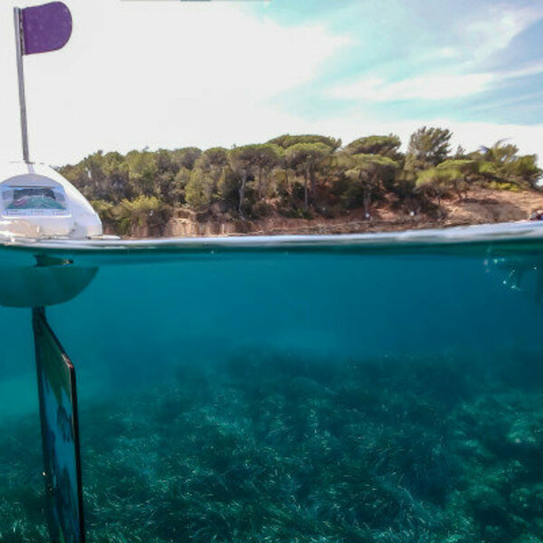 Des paysages terrestre et sous marins à couper le souffle !
