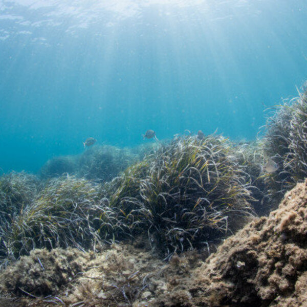 Des paysages terrestre et sous marins à couper le souffle !