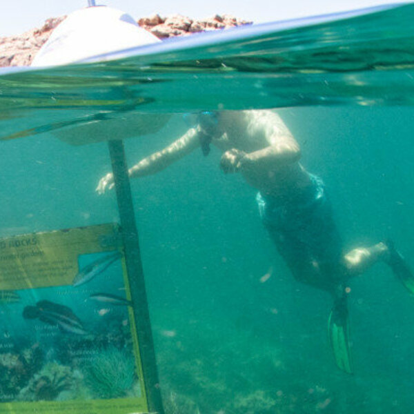 Des bouées et des panneaux immergés pour découvrir les fonds marins