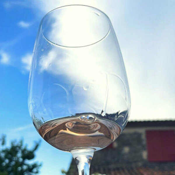 Private wine tasting