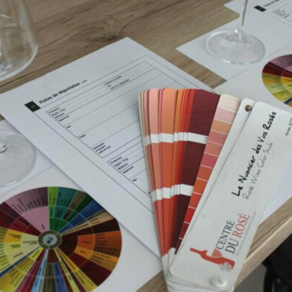 Private Wine tasting at your place